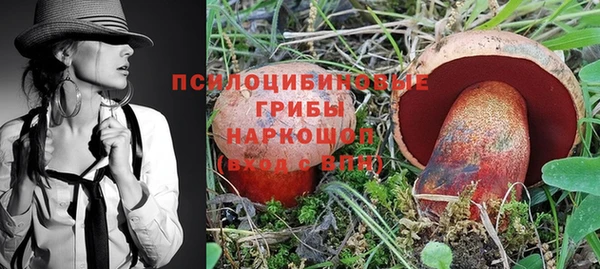 прущие крисы Алексин