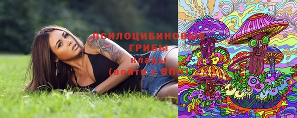прущие крисы Алексин