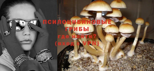 гашик Алзамай