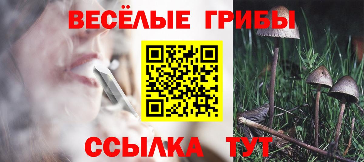 Галлюциногенные грибы Psilocybe  Псилоцибиновые грибы Psilocybe  Моздок  Вход с VPN 