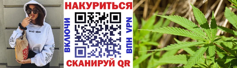 Конопля VHQ  где купить   Моздок 